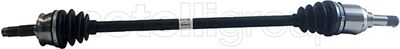 KOMPLE AKS FIAT / FORD EUROPE 500 II. C 150. 312 : 1.2. CABRİO / KA II RU8 : 1.2 8V
