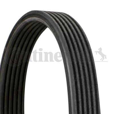 KANALLI KAYIŞ BMW 116 118 120 123 318 320 330 2.0D 16V 3.0D 24V 07