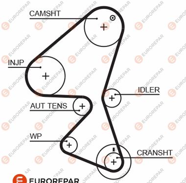 E:TRİGE KAYIŞ EUROREPAR