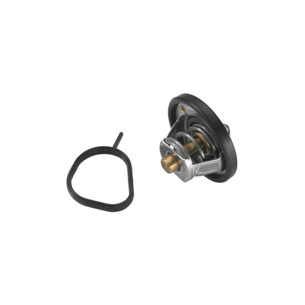 TERMOSTAT FIESTA IV-V-VI-FOCUS-CMAX-FOCUS II-III-FUSI 48 TERS KÜÇÜK BİLYA KUPİLYA KAUÇUK KLAPE