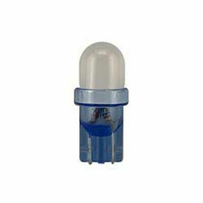 12V / 5W AMPUL