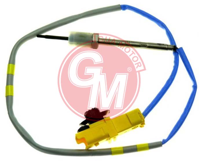 EGT TURBO HAVA SICAKLIK SENSÖRÜ RENAULT LAGUNA II-III-MGN II 2.0 DCI M9R 06 8200640532
