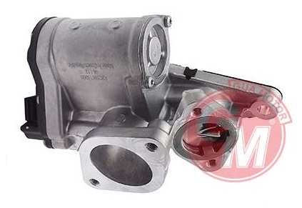 EGR VALFİ RENAULT MEGANE II-SCENIC II-LAGUNA II-TRAFIC II OPEL VIVARO GRAND VITARA 05 1.9DCİ 1.9 CDTI 1.9 DDİS