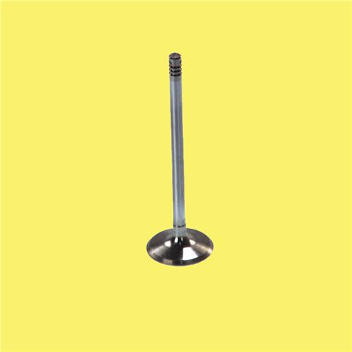 X SUBAP EMME EGZOZ J9 2.4 8V STD/0.50 IN-4/EX-4