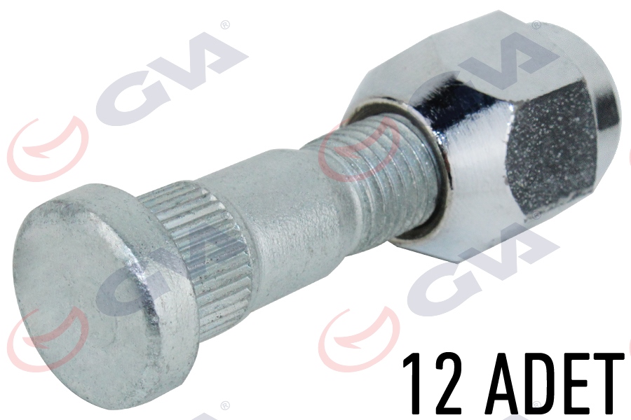 BİJON SAPLAMA SOMUN TAKIMI SAĞ KAMYONET H100 E.M. PAKET 12
