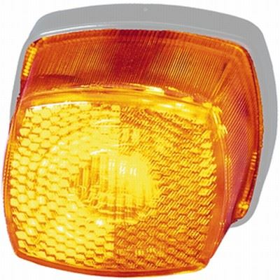 YAN SİNYAL LAMBASI HALOJEN-C5W 12-24V SOL-SAĞ DAF MAN VOLVO İŞ MAKİNELERİ