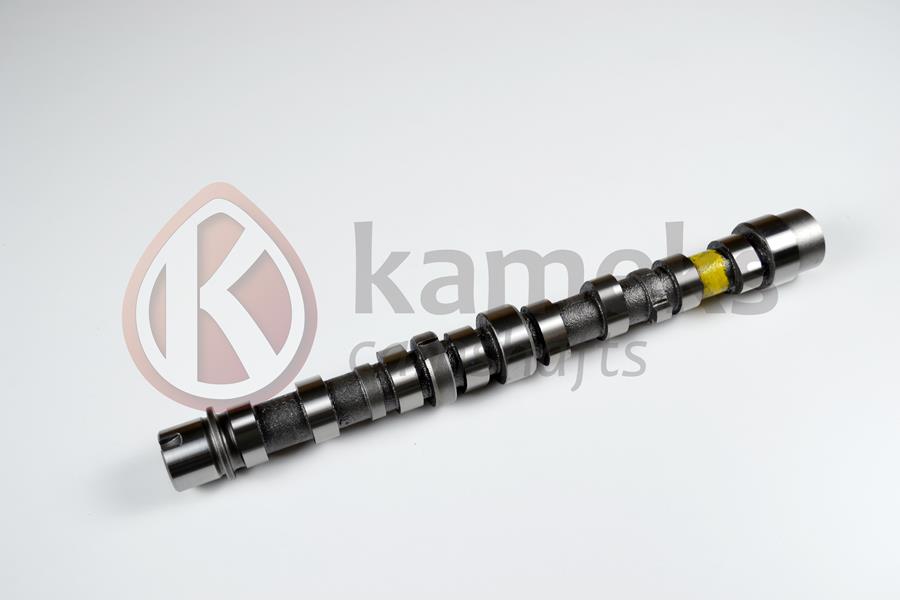 EKSANTRİK MİLİ EMME BIPPER 10 NEMO 10 DOBLO 10 EGEA 16 PUNTO 12 500 L 12 95BG 1.3 JTD EURO5 DÖKÜM