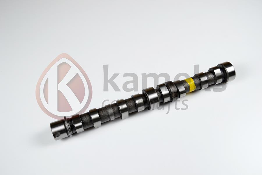 EKSANTRİK MİLİ EGZOZ BIPPER 10 NEMO 10 DOBLO 10 EGEA 16 PUNTO 12 500 L 12 95BG 1.3 JTD EURO5 DOKUM