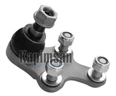 ROTİL 308 II T9 13-19 308 SW 14-19